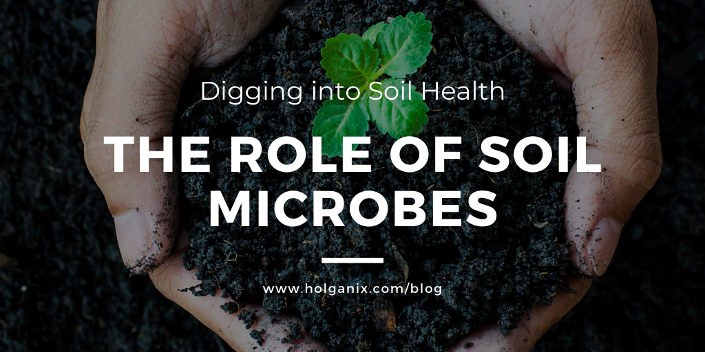 Digging into Soil Health The Role of Soil Microbes [VIDEO]